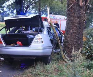 Wielkopolskie. Mercedes uderzył w drzewo! 26-letni pasażer nie żyje! 