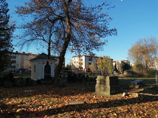 Remont lapidarium w Siedlcach
