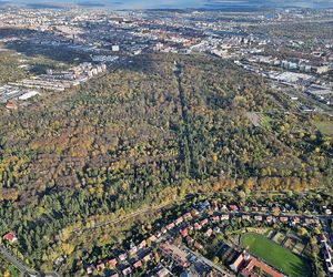 Wyjątkowe miejsce na randkę. Większość przychodzi tam w innym celu, ale często widać tam spacerujących zakochanych