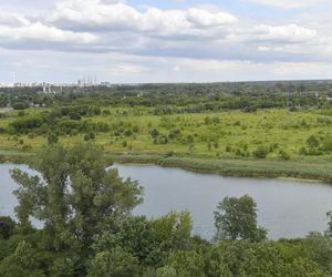 Jeziorko Czerniakowskie