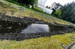 Warszawa, Wesoła. Zniszczone gniazda kaczek