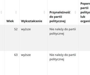 Wybory samorządowe 2024. Sprawdź, jak głosowano w gminach powiatu piotrkowskiego [GALERIA]