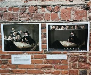 We Wrocławiu powstało Muzeum Memów. Hity Internetu w jednym miejscu