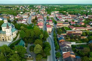 Klimontów. Znajdziesz tu najdłuższą aleję kasztanów w Europie 