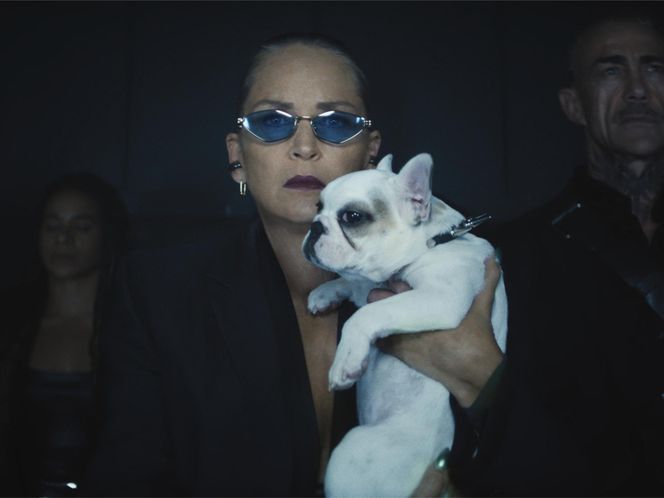 Nagi Instynkt wraca! Ale bez Sharon Stone. Gwiazda tak to podsumowała!