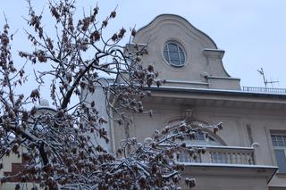 W Lublinie jest biało. Czy drogowców zaskoczył atak zimy? [GALERIA]