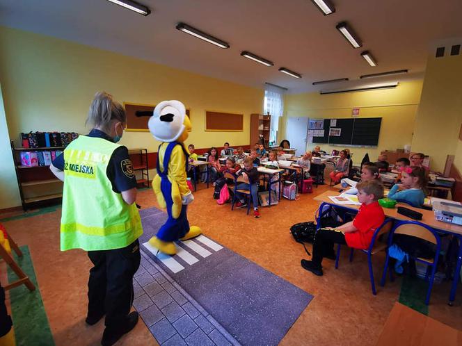 ​„Z odblaskiem bezpieczniej” - wkrótce finał akcji szczecineckiej Straży Miejskiej. Strażnicy odwiedzają szkoły i przedszkola w mieście [FOTO]