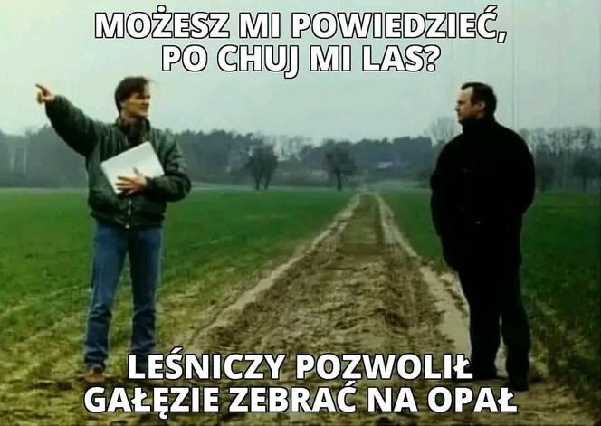 Kto może zbierać w lesie chrust?