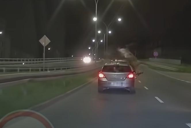 Jeleń wziął się znikąd! Kierowca Opla miał szczęście w nieszczęściu