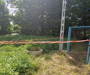 Druhowie z Iwonicza uratowali sarenkę. 