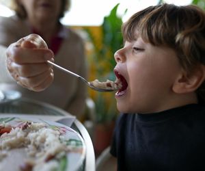Wnuki objadały babcię. Nie miałam co zjeść na kolację