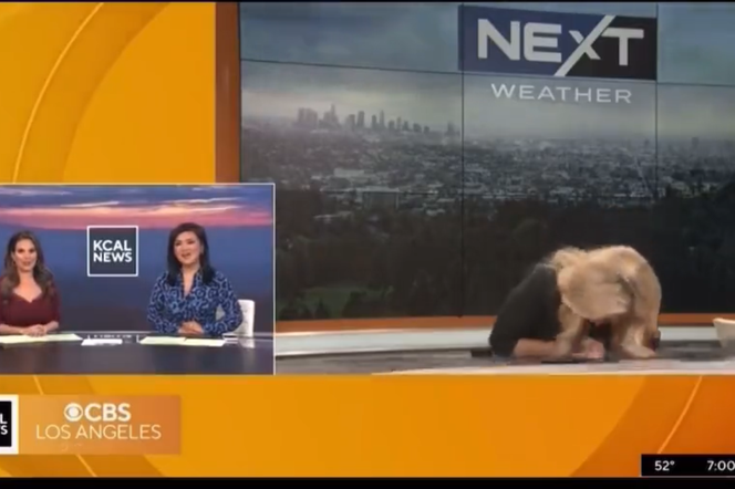 Pogodynka nagle straciła przytomność przed kamerami! Szokujące sceny na wizji