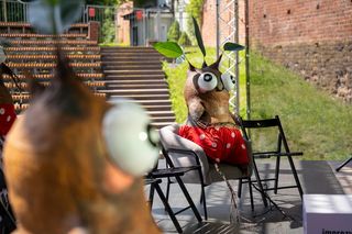 Co robić latem w Olsztynie? Najlepsze wydarzenia letniego sezonu