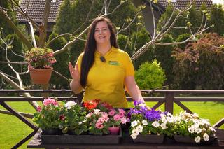 3 gatunki kwiatów, które odmienią Twój balkon! Wideo #MuratorOgroduje!