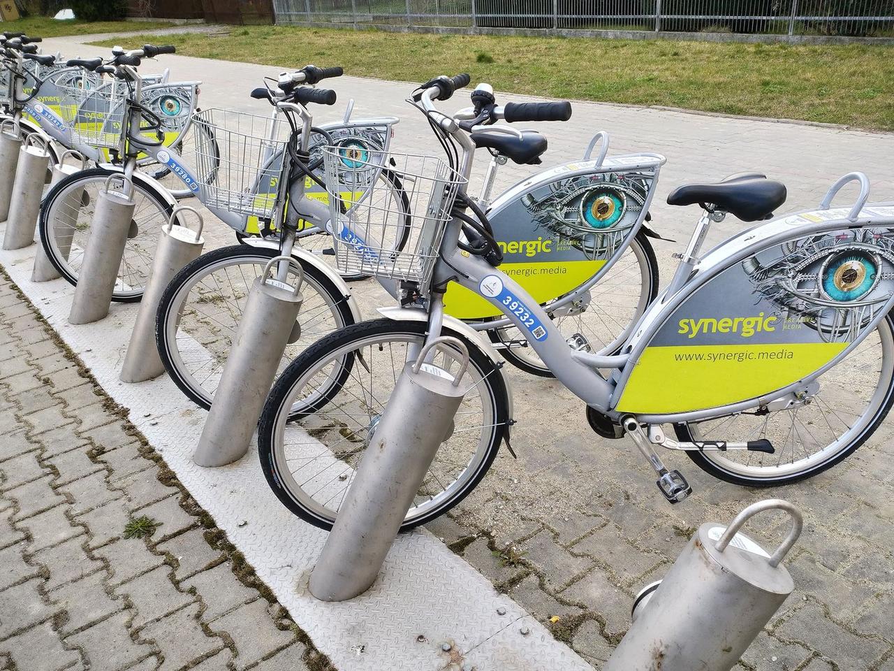 Czy rowerzyści w Poznaniu są BEZPIECZNI? TE DANE policji nie pozostawiają wątpliwości! 