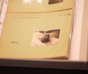 Zbiór fotografii dokumentujących zniszczoną Warszawę