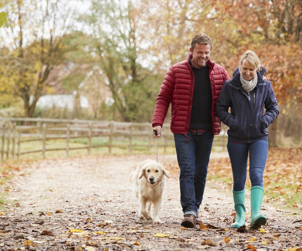 Uśmiechnięta para, mężczyzna w czerwonej kurtce z psem rasy golden retriever na smyczy i kobieta w granatowej kurtce, spaceruje jesienną ścieżką usłaną liśćmi. Kontekst artykułu o tym, że dla zdrowia serca wystarczy mniej niż 10 tys. kroków dziennie, znajdziesz na Poradnik Zdrowie.