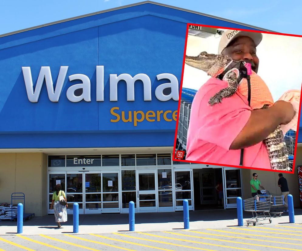 Aligator jako zwierzę domowe