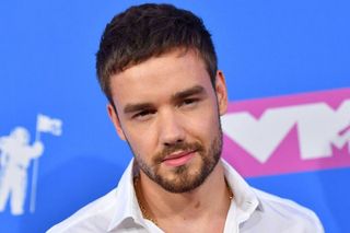 Liam Payne zostawił synowi ogromny majątek. Już w 2022 roku mówił, jak zabezpieczył przyszłość Beara