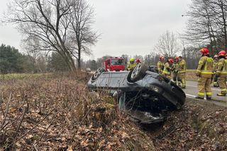 Dachowanie audi pod Mordami