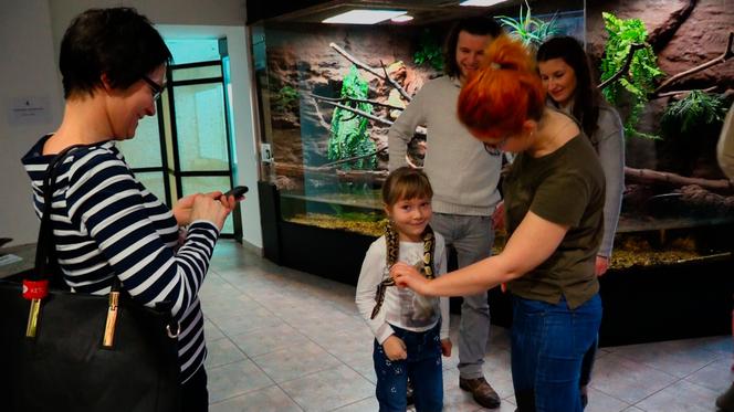 Muzeum Przyrodnicze w Krakowie: Jaszczurki i węże też lubią przytulanie!