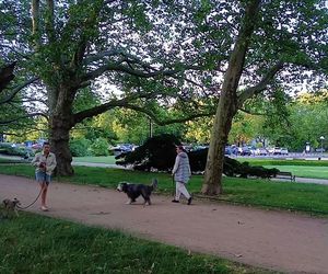Park Kasprowicza i Jasne Błonia