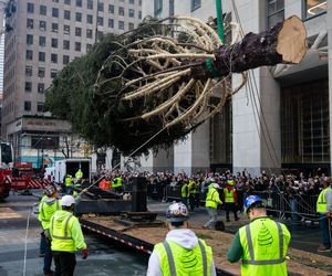 W Nowym Jorku stanęła choinka. Tłumy towarzyszyły jej transportowi