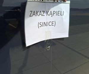 Sinice nad Lubianką