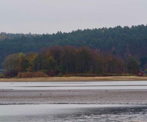 Mroczne klimaty nad zalewem brodzkim. Idealne na spacer dla fotografów