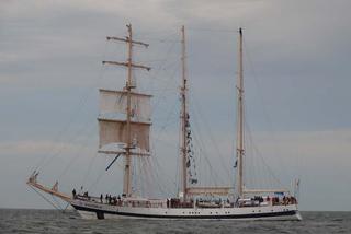 ParadaZagleGdyni2014_FotMZwierz_710392