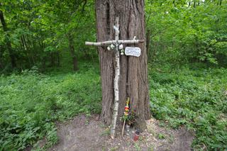 Przyjaciółka musi zapłacić 100 tysięcy za zabójstwo Agaty