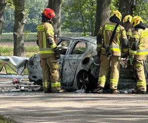 Zwęglone zwłoki w elektrycznym oplu. Samochód uderzył w drzewo i stanął w płomieniach