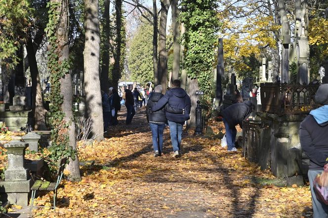 Gwiazdy kwestują na Powązkach