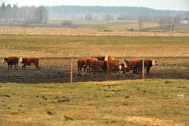 Pałac nad jeziorem czeka na Kaczyńską