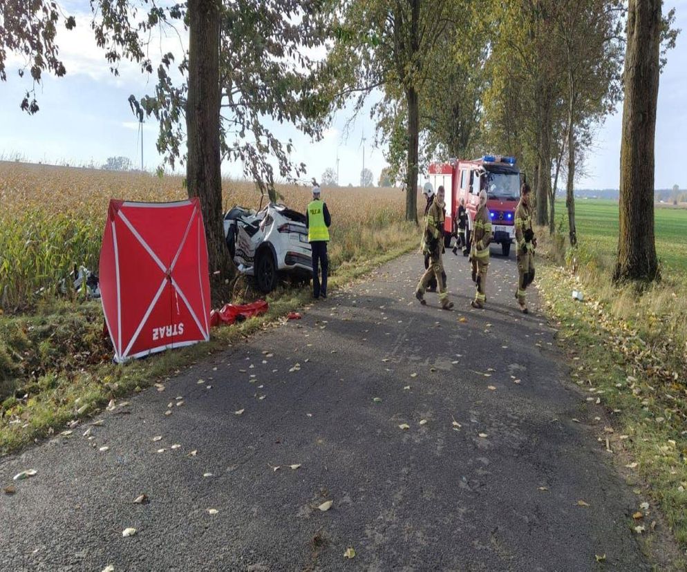 Dramat na drodze. 34-latek roztrzaskał się na drzewie. Nie miał szans przeżyć
