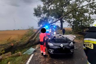 Koszmarny wypadek w powiecie świecki, Mężczyzna zginął na oczach rodziny przygnieciony konarem