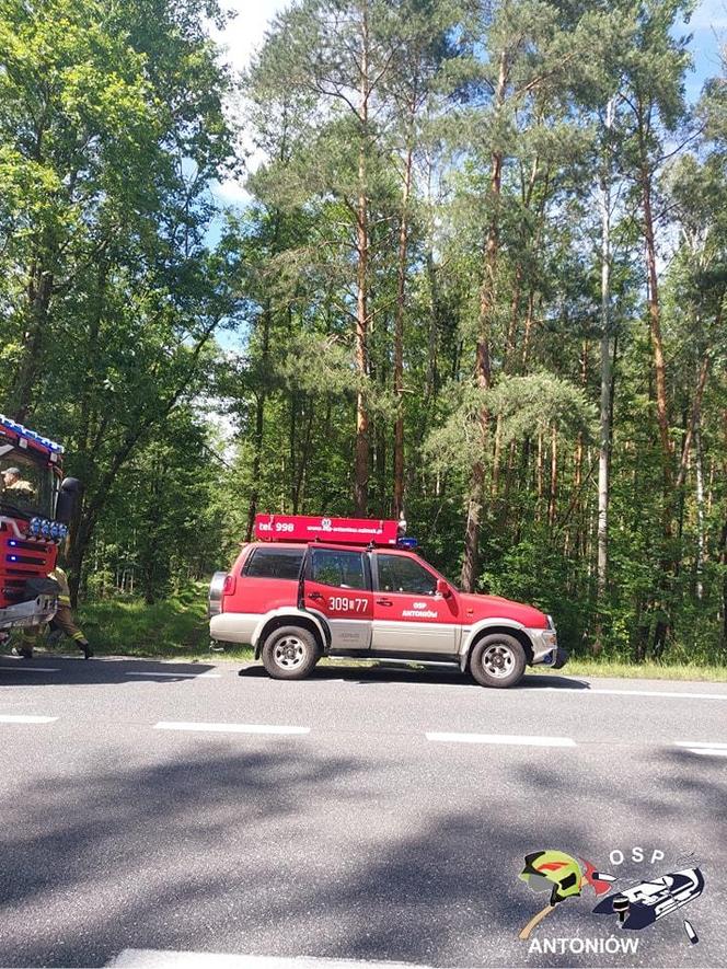 Tragiczny wypadek na DK46 w Ozimku