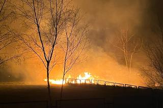 9 hektarów w ogniu! Zagrożona była farma