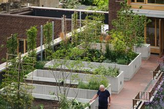 Appleby Blue Almshouse w Londynie