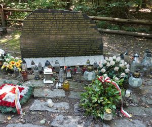Las Kabacki w Warszawie