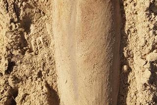 Groza! W Otwocku znaleziono gigantyczny niewybuch, ewakuowano 600 osób