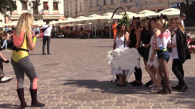 Juwenalia w Rzeszowie