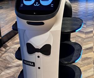 Roboty z Gdańska robią furorę wśród klientów restauracji. Kelnerzy na początku się ich bali [ZDJĘCIA]