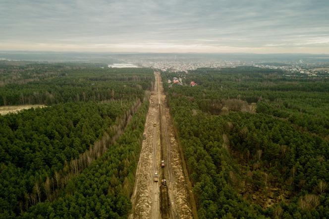 Budki dla ptaków, zbiornik dla płazów. Na budowie linii kolejowej do lotniska w Pyrzowicach oprócz ludzi,  skorzystają też zwierzęta