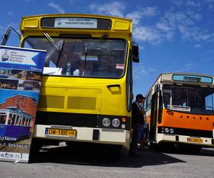 Zlot zabytkowych autobusów 2022 w Bydgoszczy [ZDJĘCIA] 