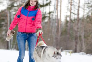 Aktywność fizyczna psa zimą – ile czasu na nią przeznaczyć?