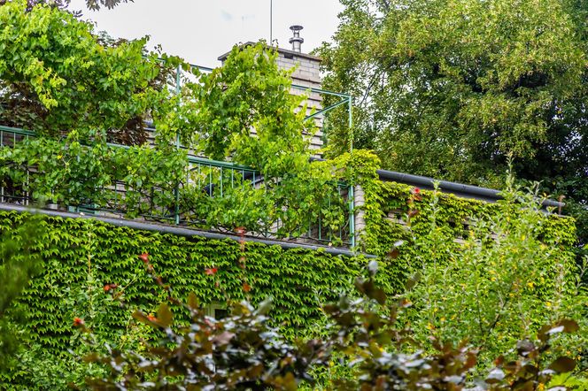 Willa Romualda Gutta na Kolonii Profesorskiej w Warszawie