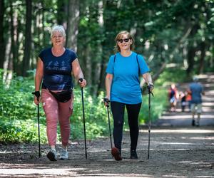 Parkrun Las Aniołowski w Częstochowie. Biegowa rekreacja na 5 kilometrach [ZDJĘCIA]