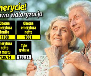 Waloryzacja emerytur 2023