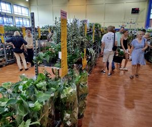 Festiwal Roślin 2025 w Siedlcach